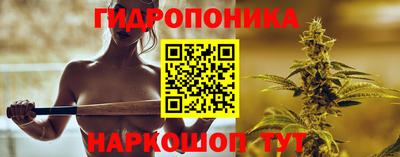 индика Северобайкальск