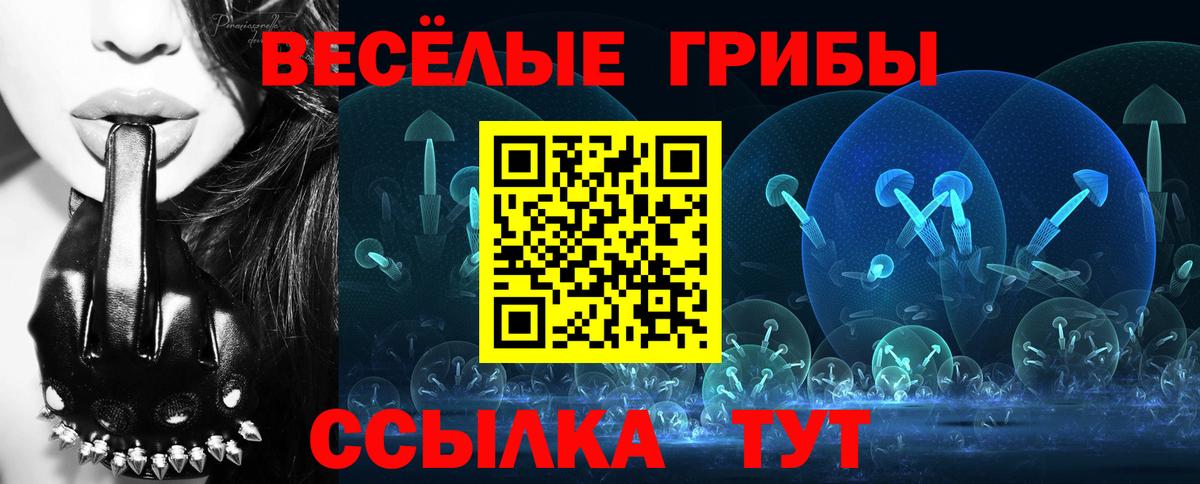 Галлюциногенные грибы прущие грибы  Вход с VPN  Алатырь 
